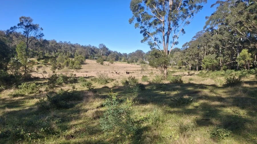 Lot 7 Donovan Road, Cabarlah QLD 4352
