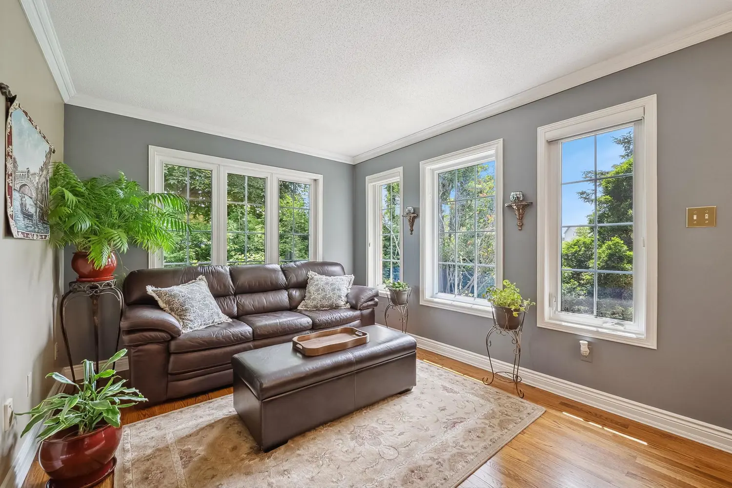 Additional image 8 of 18 Claypine Trail