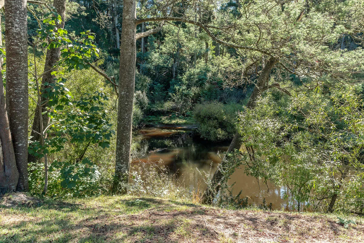 Additional image 10 of 17 Main Street, Derby TAS 7264