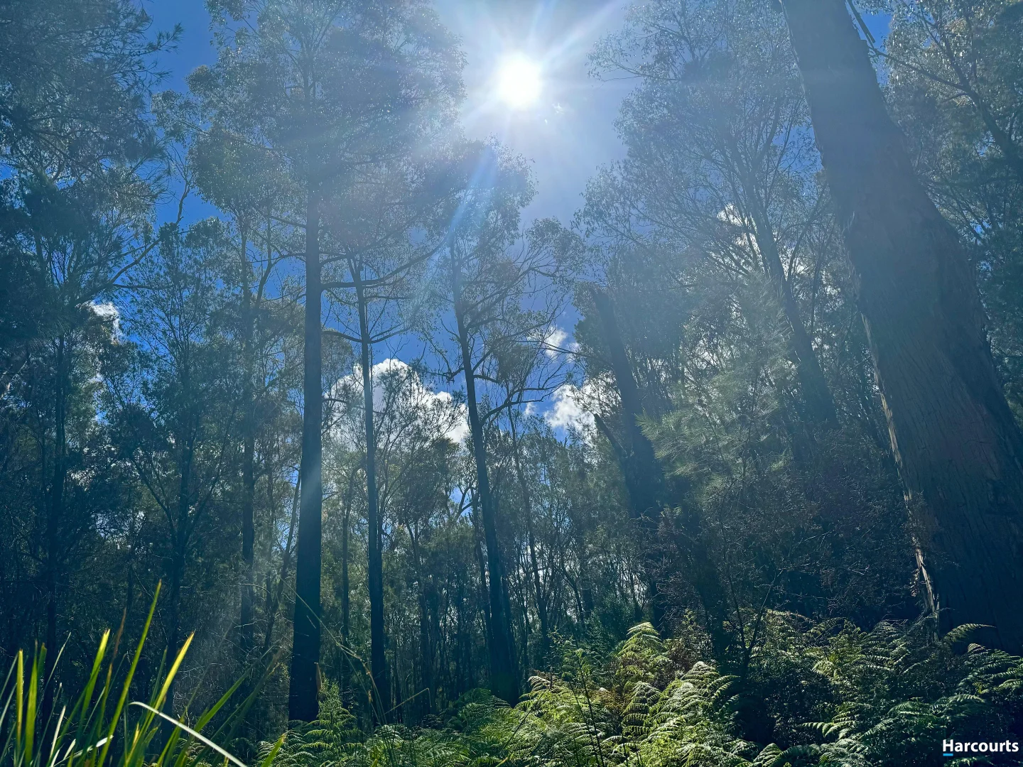 Additional image 6 of 311 Medeas Cove Road, St Helens TAS 7216