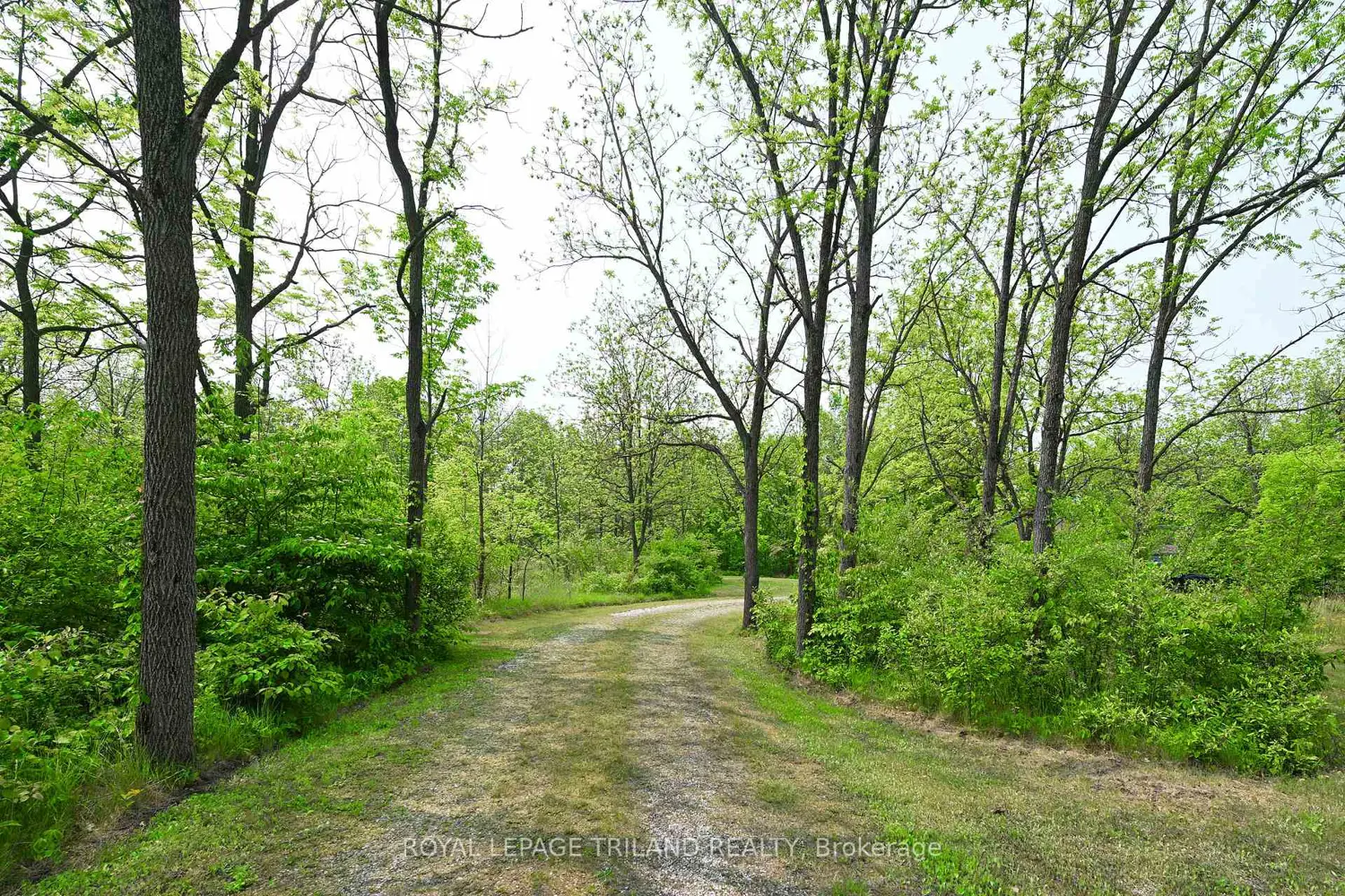 Additional image 17 of 253 Elginfield Road