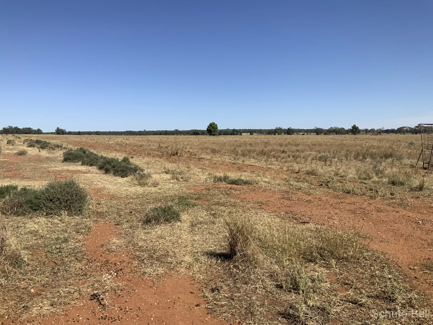 Additional image 14 of 703 Yethera Road, Tullamore NSW 2874