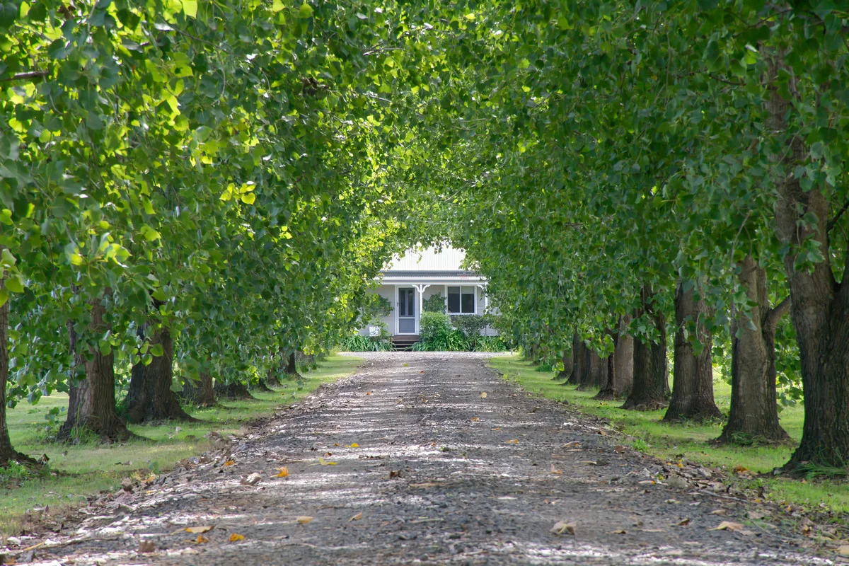 Additional image 2 of 365 Knights Road, Kyogle NSW 2474