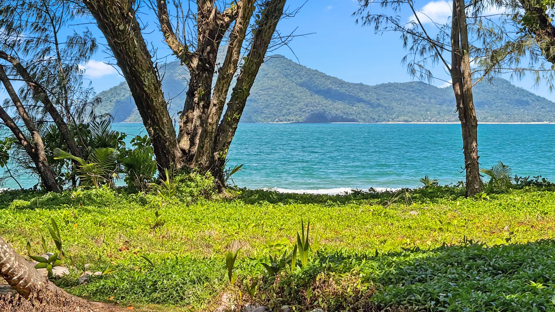 Additional image 31 of 34 Koda St, Wongaling Beach QLD 4852