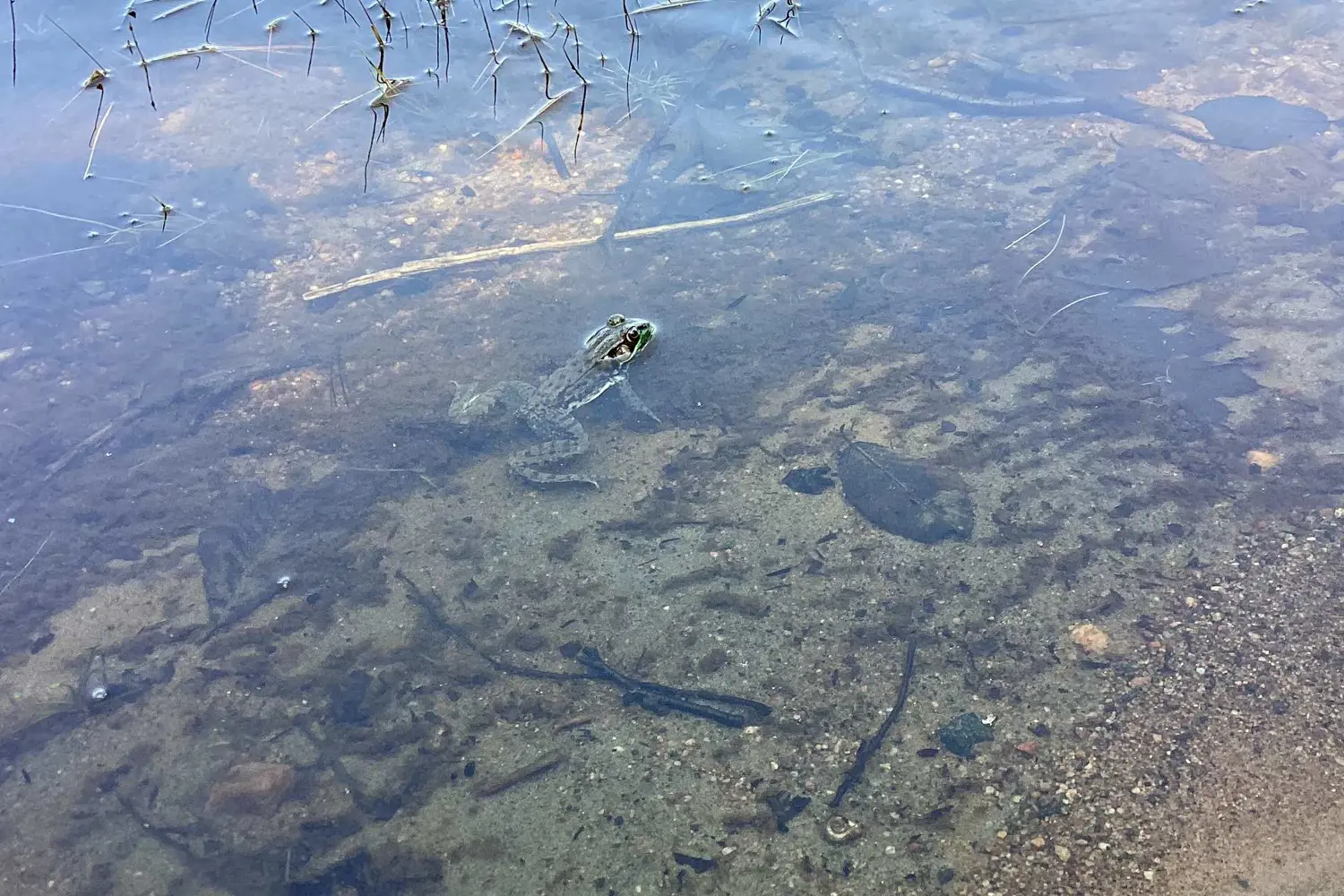 Additional image 11 of 153 Highway 124