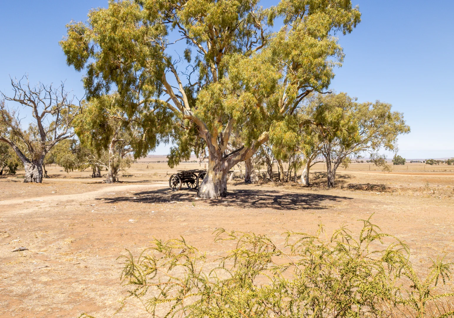 Additional image 45 of Hummocks Station/45 Barunga Homestead Rd, Snowtown SA 5520