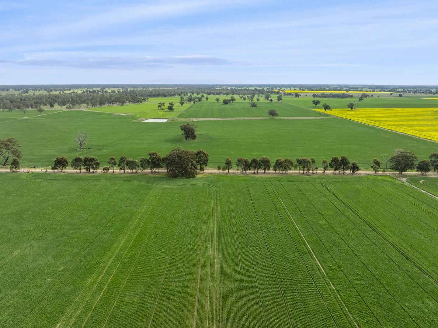 Additional image 16 of 800 Bridge Road, Caniambo VIC 3630