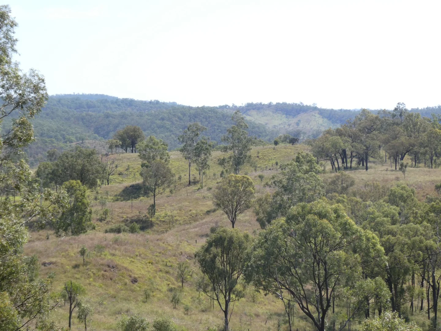 Additional image 19 of Lot 14 Monto Mount Perry Road, Mungy QLD 4671