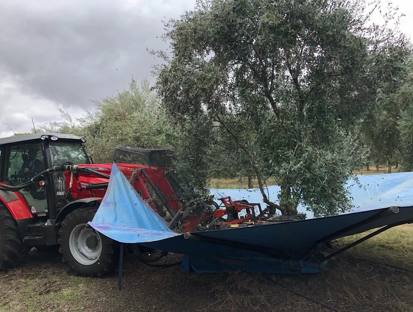 Additional image 18 of 15 Mary Gilmore Road, Wagga Wagga NSW 2650