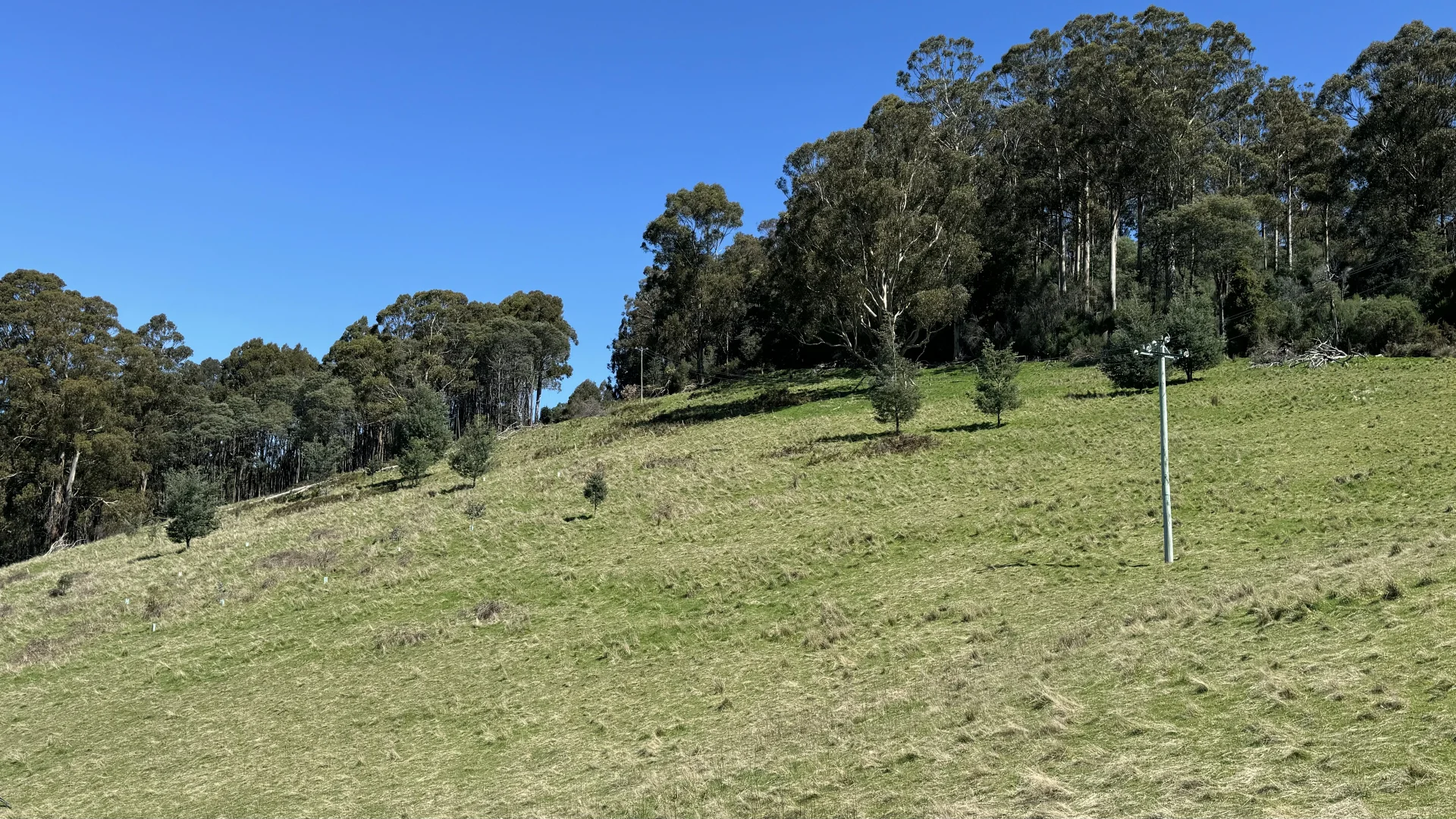 Additional image 16 of Lot 1 Walpole Lane, Franklin TAS 7113