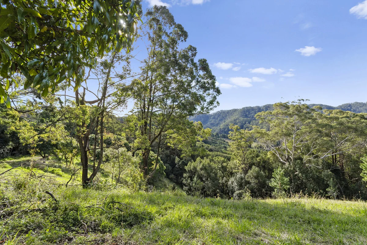 Additional image 4 of 536 Cudgera Creek Road, Cudgera Creek NSW 2484