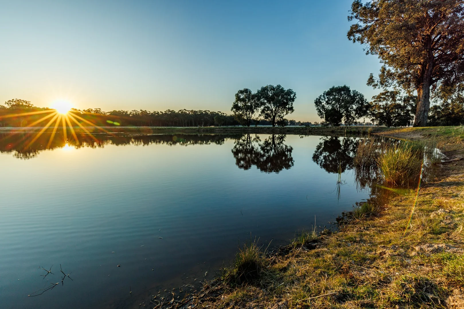 Additional image 7 of 242 Frost Road, Killawarra VIC 3678
