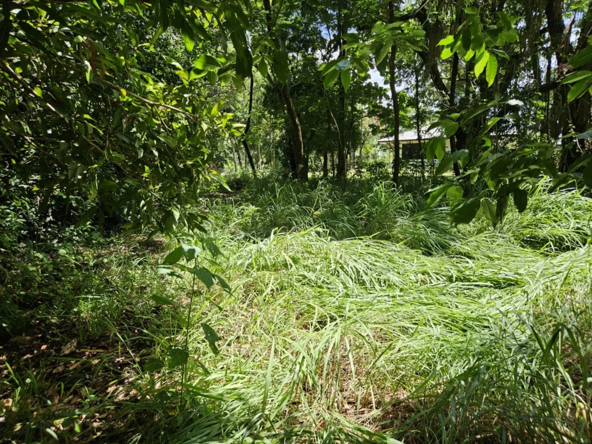 Additional image 10 of 16 Forrest Drive, Forrest Beach QLD 4850