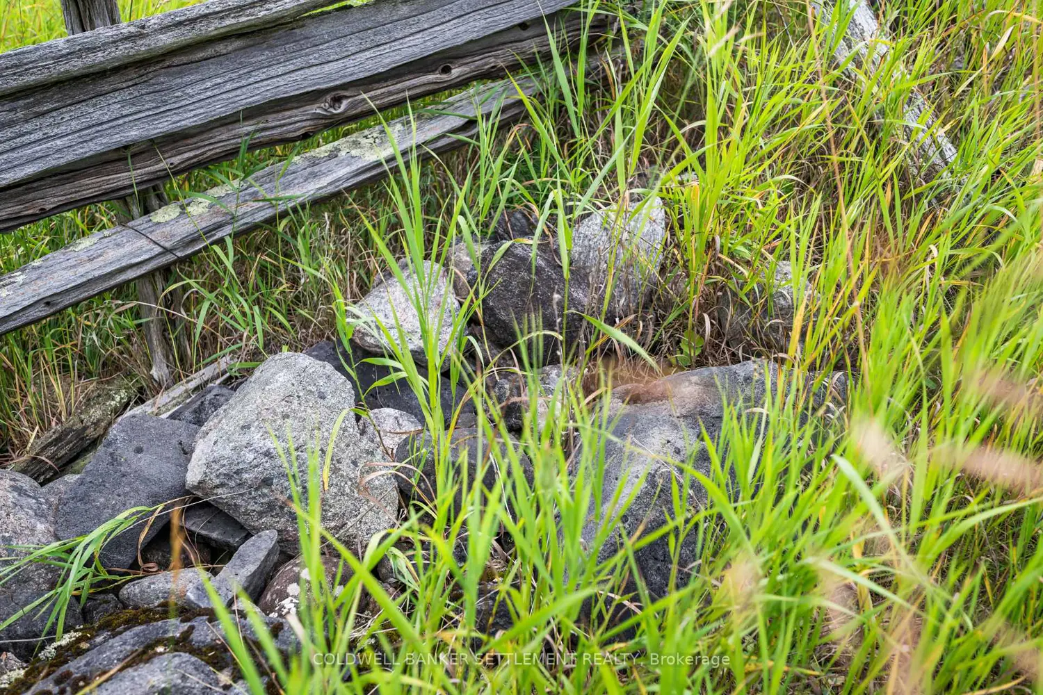 Additional image 10 of Pt 2 Herron Mills Road