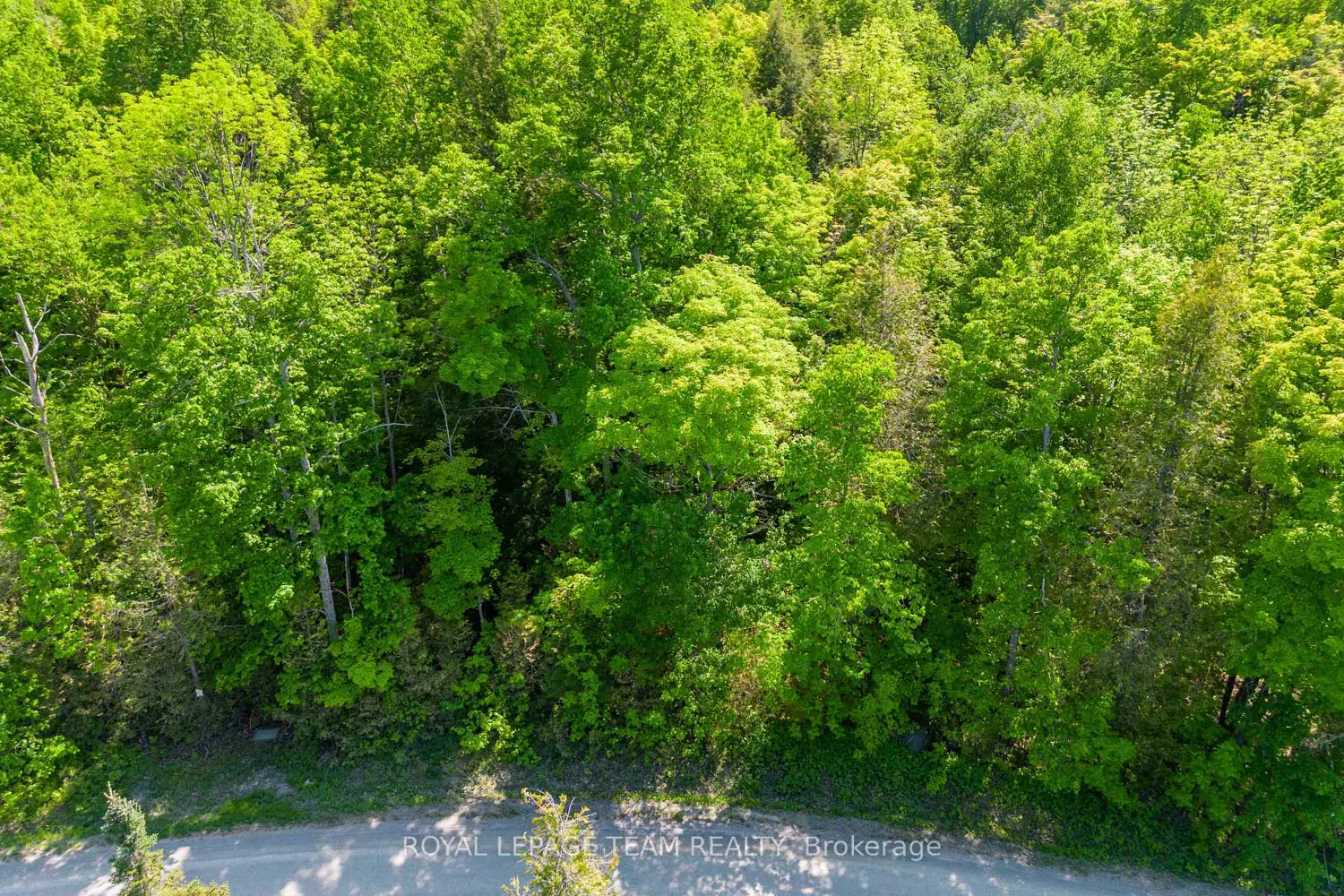 Additional image 10 of 02 Mink Lake Road