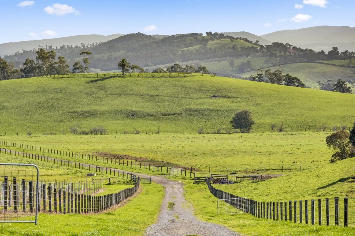 Additional image 6 of 737 Maroondah Highway, Coldstream VIC 3770