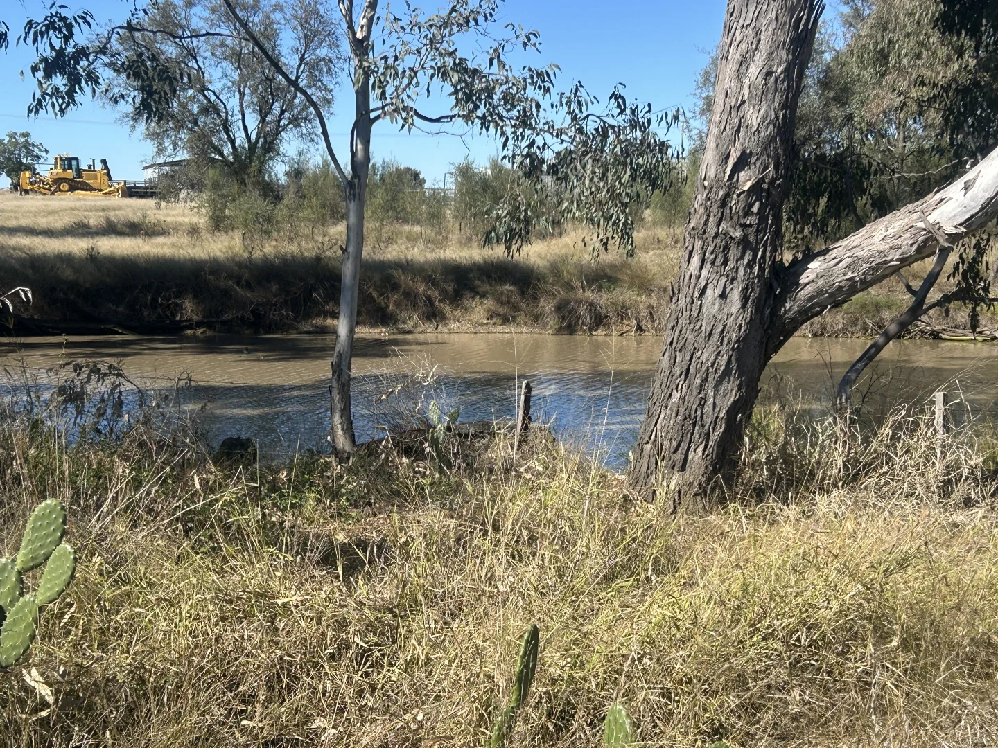 Additional image 29 of 4921 Meandarra Condamine Road, Meandarra QLD 4422