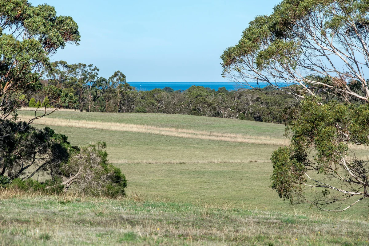 Additional image 6 of 41 Bonnie View, Bolwarra VIC 3305