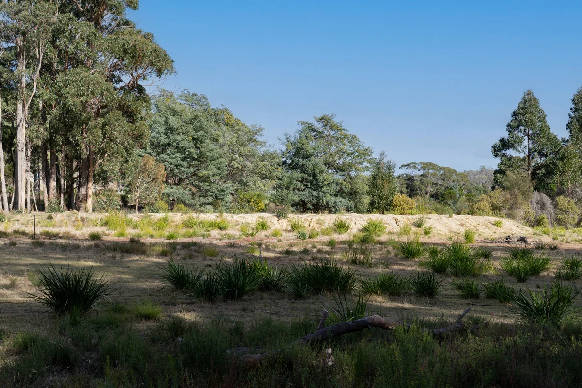 Additional image 16 of Lot 3 White Beach Road, White Beach TAS 7184