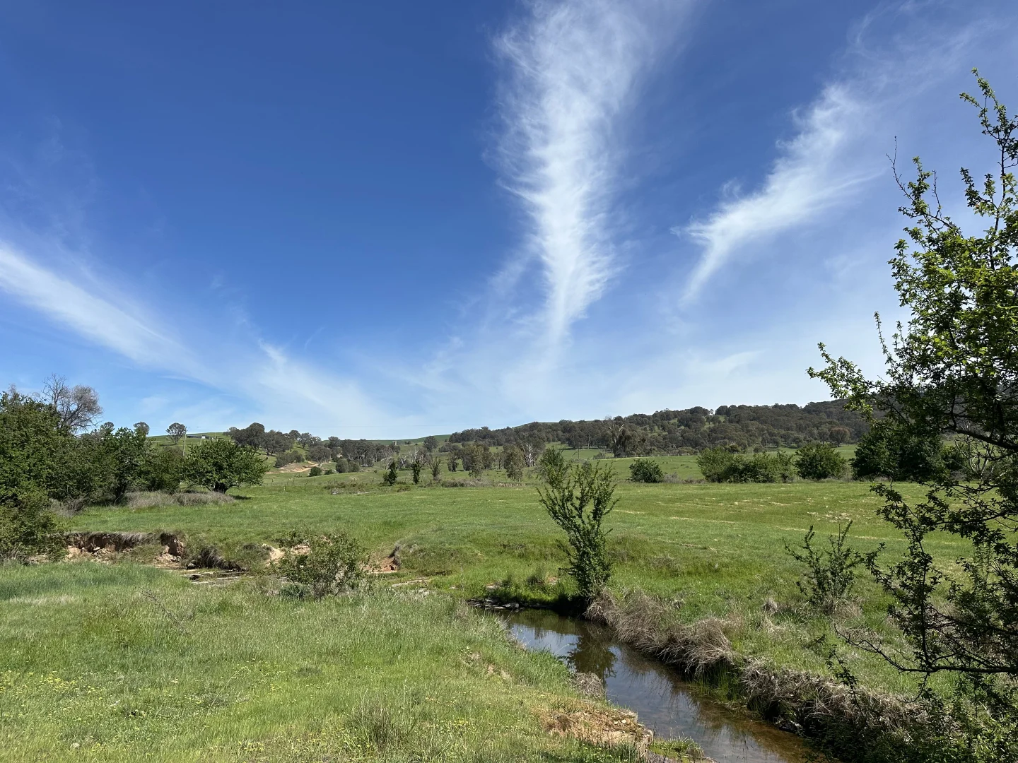 Additional image 22 of 439 Buttercup Road, Merrijig VIC 3723