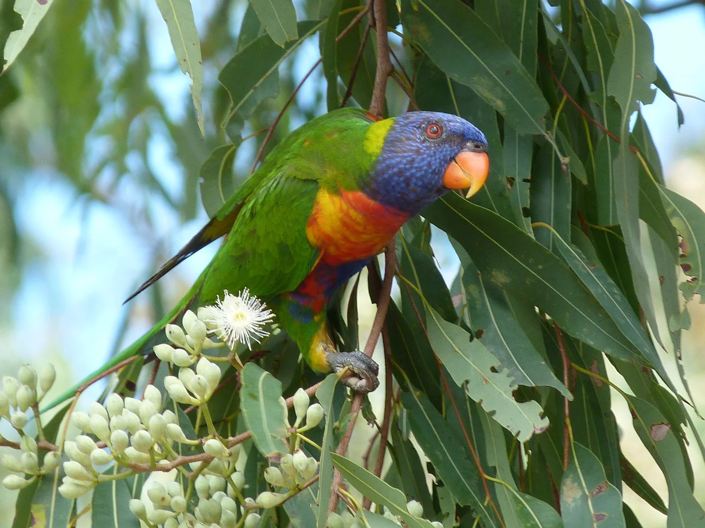 Additional image 27 of Notch Point Road, Ilbilbie QLD 4738