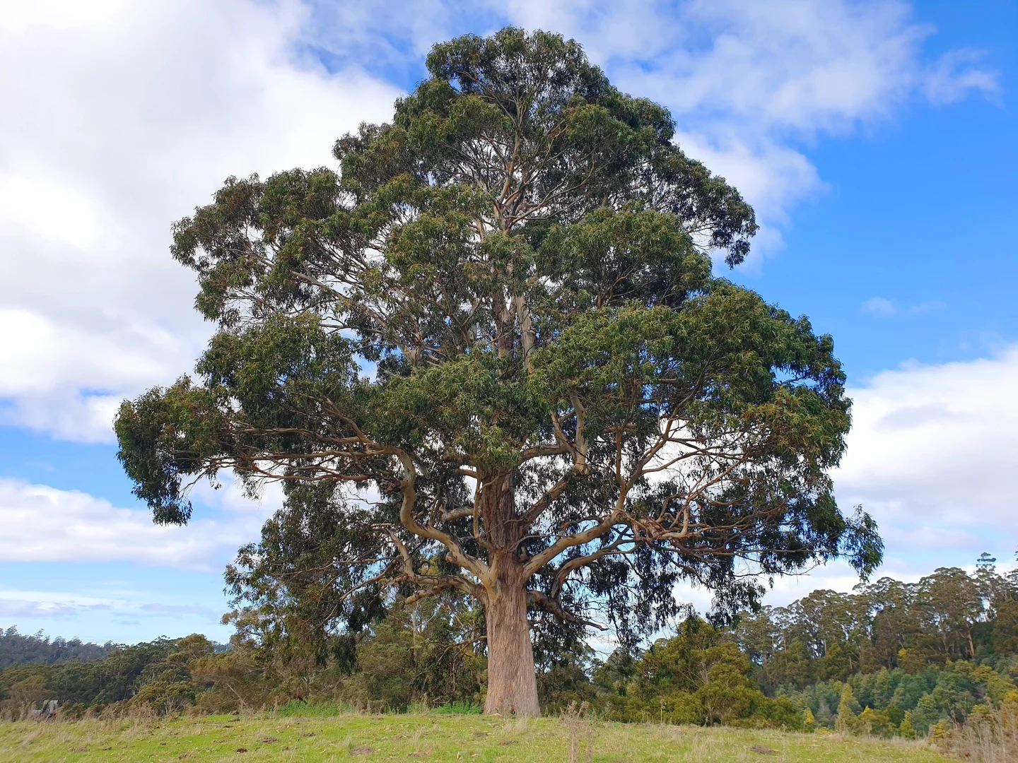 Additional image 17 of Lot 2 Huon Highway, Dover TAS 7117