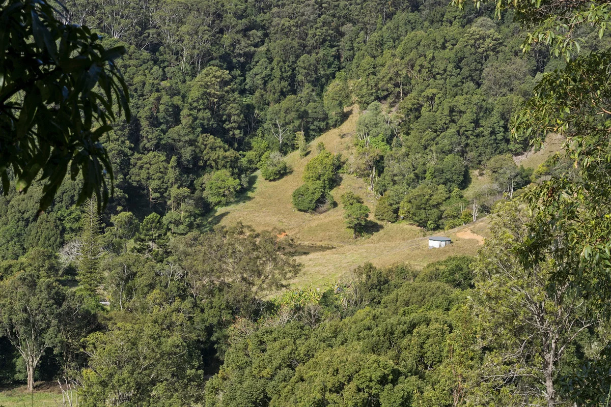 Additional image 14 of 536 Cudgera Creek Road, Cudgera Creek NSW 2484