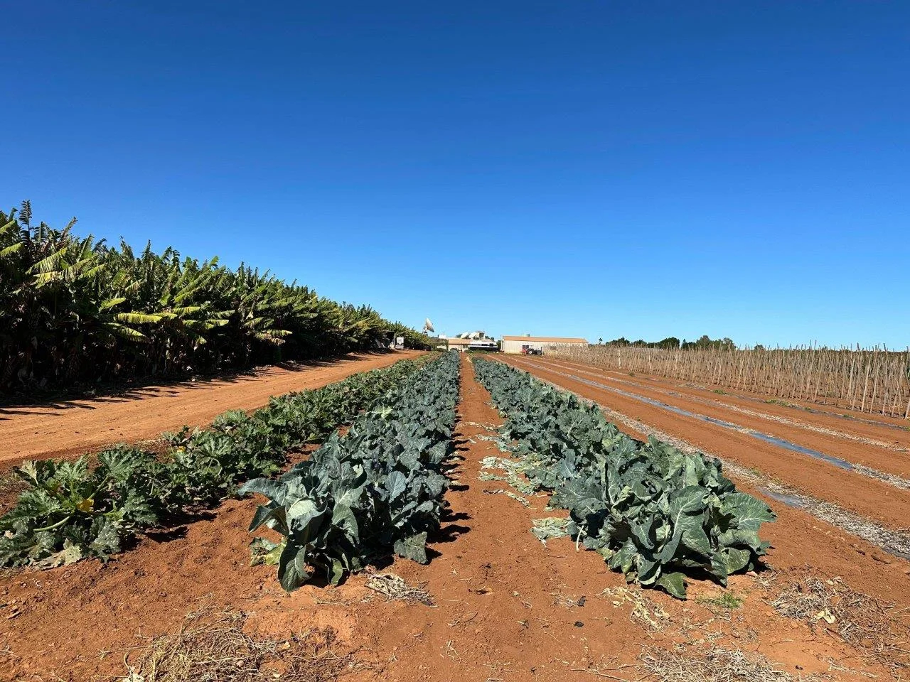 Additional image 21 of 11 Bibbawarra Road, Kingsford WA 6701