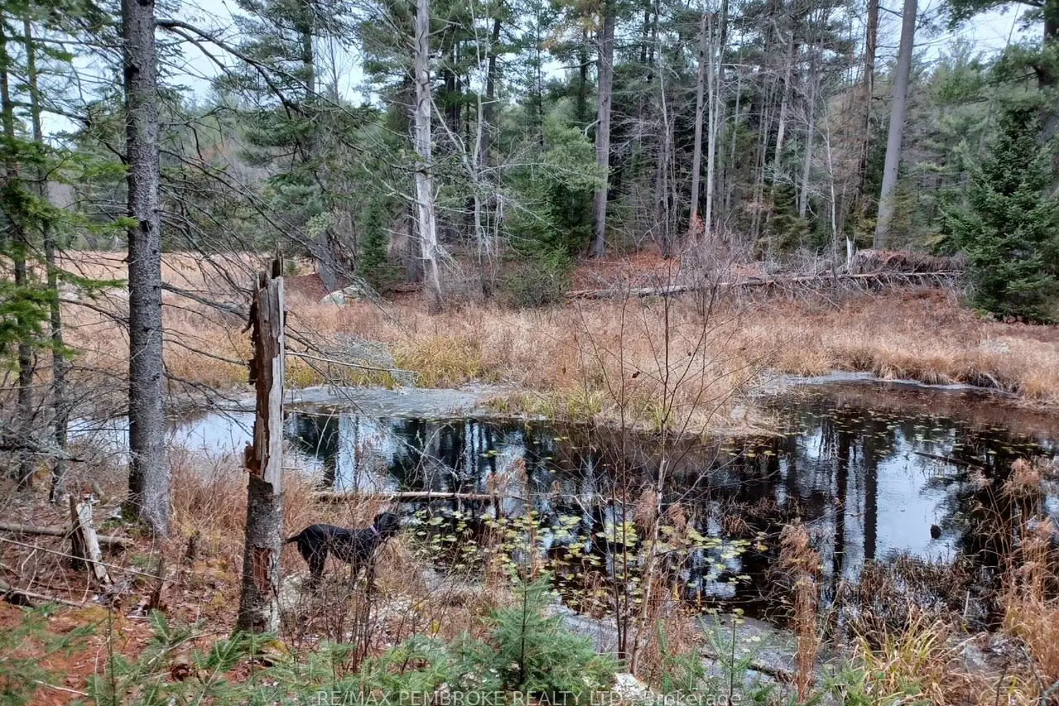 Additional image 5 of 1678 Locksley Road