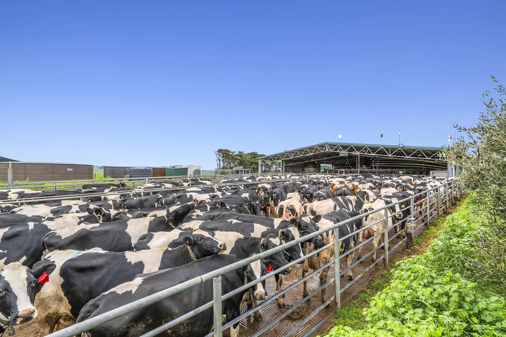 Additional image 9 of 520 Centre Road, Simpson VIC 3266