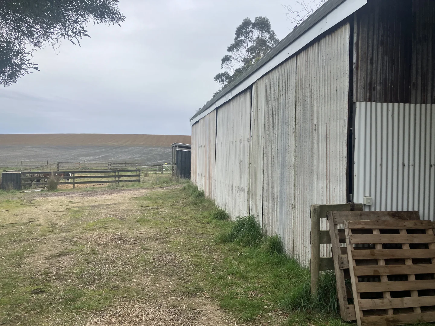 Additional image 10 of 67 Myrtle Grove Road, Wiltshire TAS 7321