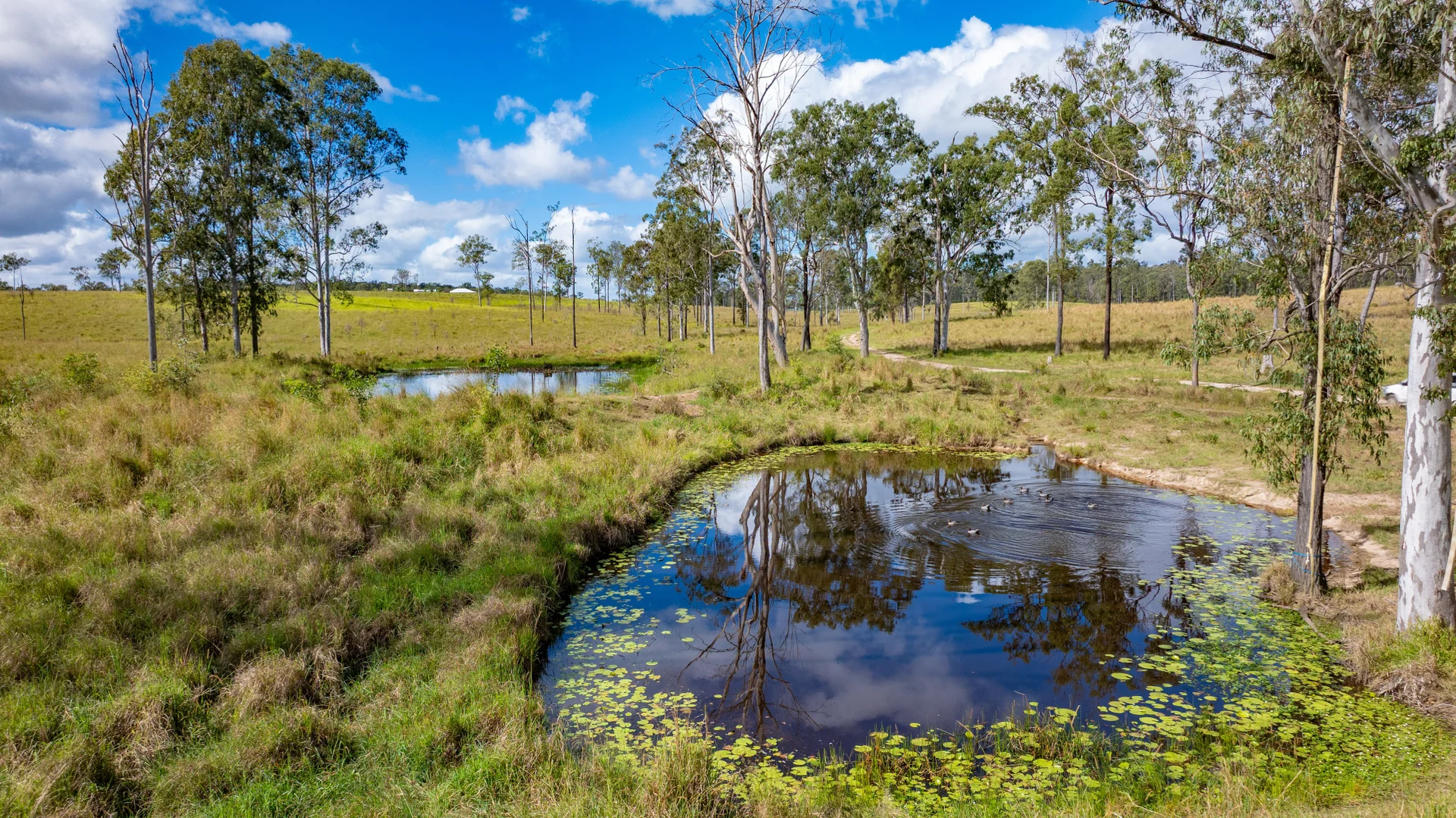 Additional image 29 of 667 Beckmanns Road, Glenwood QLD 4570