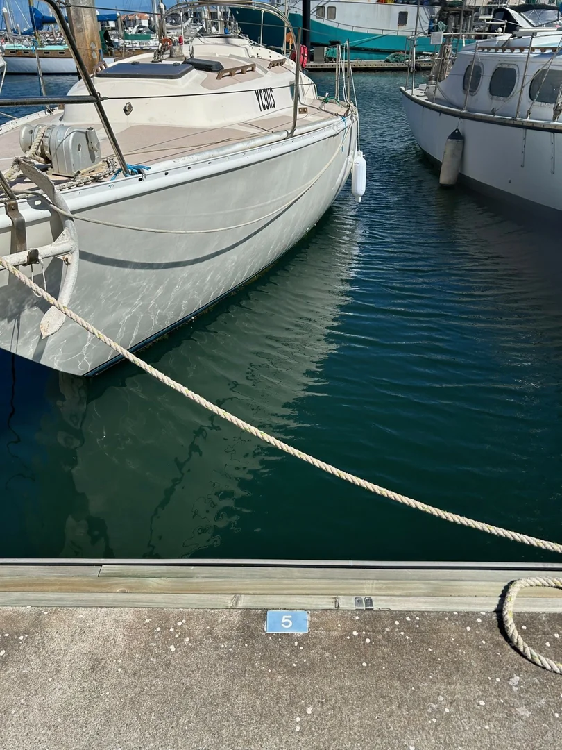 Additional image 3 of D5-11.25m Ref. Cove/5a Alexa Road, North Haven SA 5018