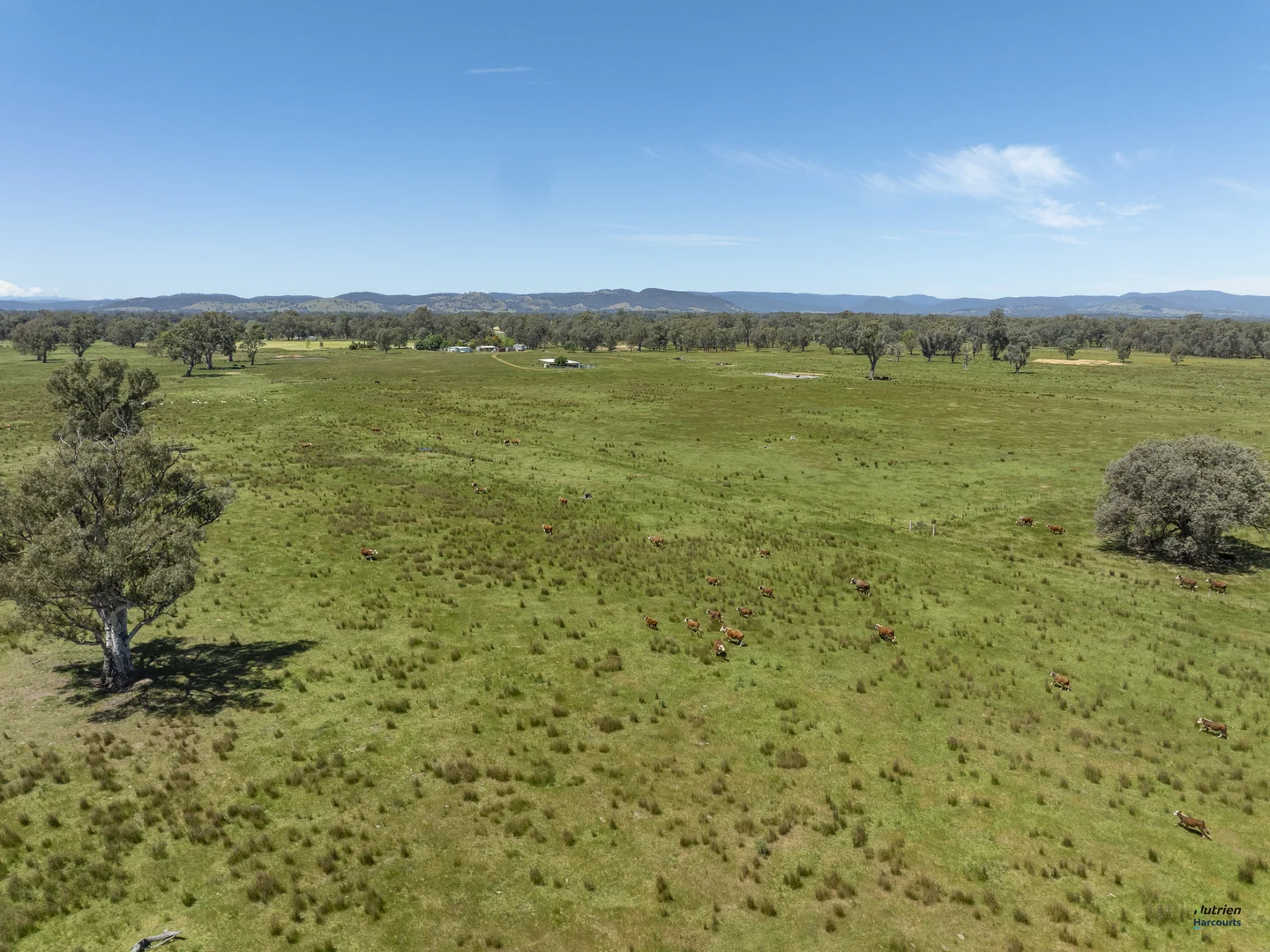 Additional image 15 of 12 Knight Road, Benalla VIC 3672