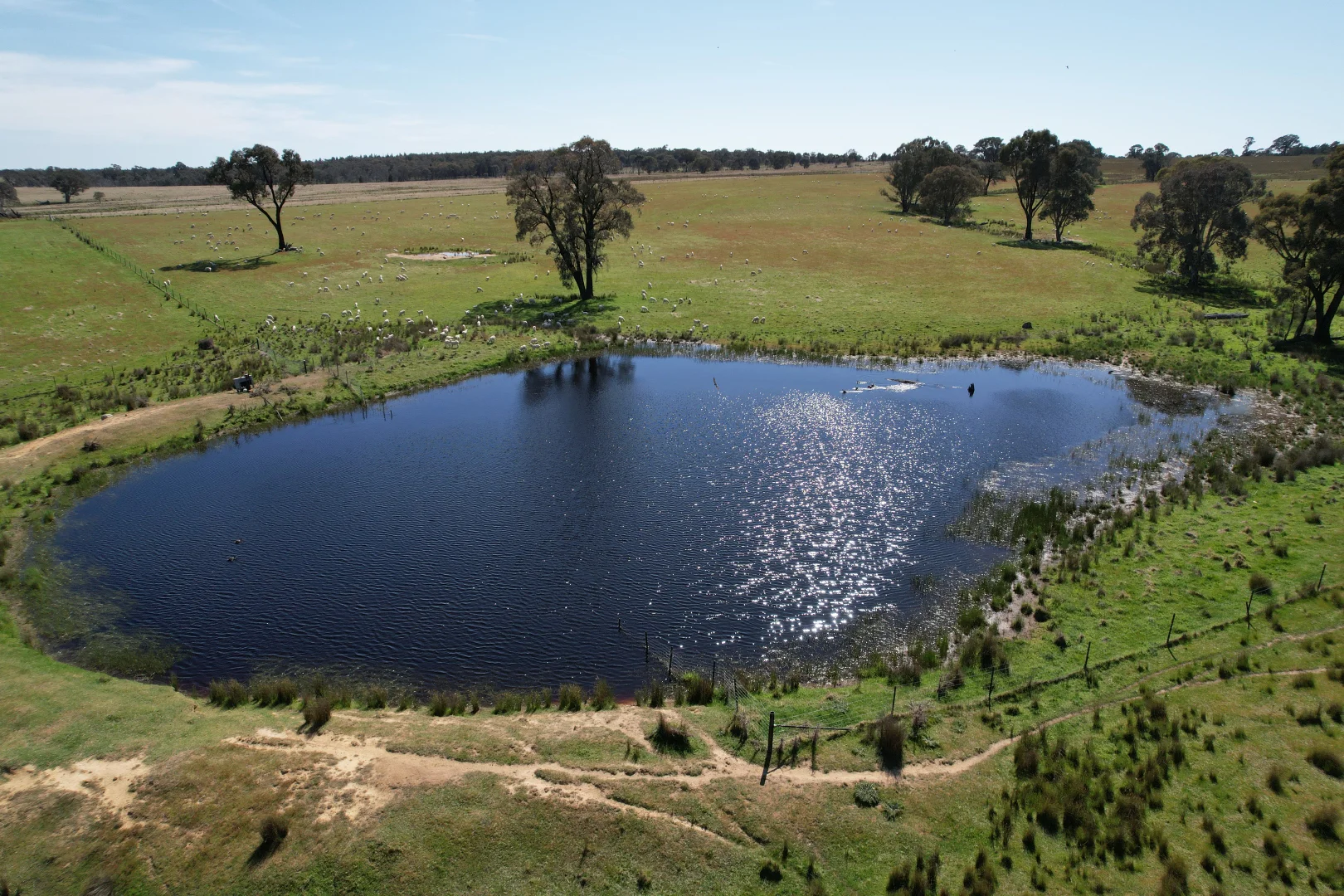 Additional image 6 of 424 Trebane Road, Crowther NSW 2803