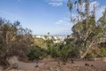 Additional image 45 of 445 N Rossmore Ave, Los Angeles, CA, 90004