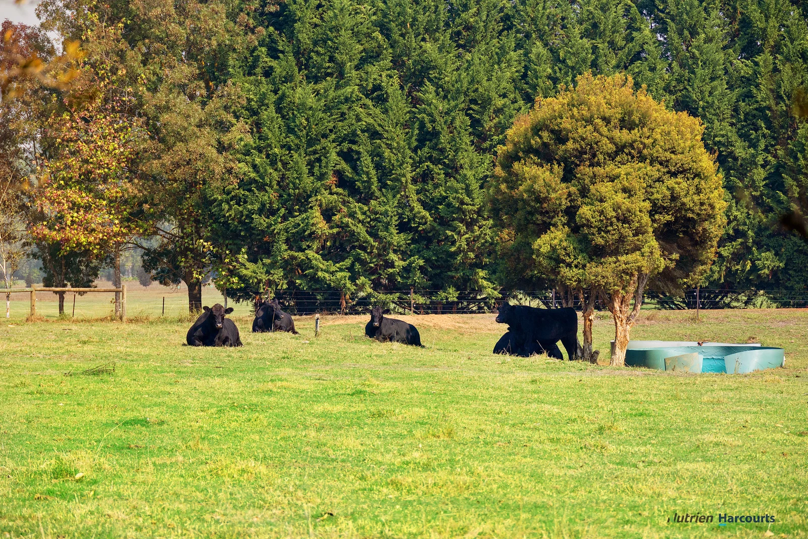 Additional image 18 of 614 Goulburn Valley Highway, Thornton VIC 3712