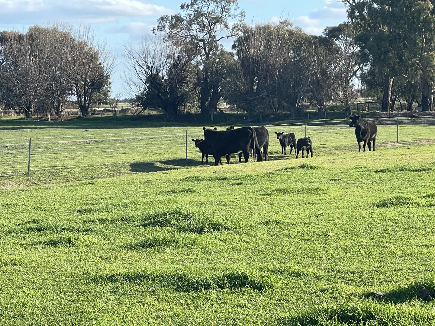 Additional image 30 of 'Kindimindi' 6176 Wakool Road, Wakool NSW 2710