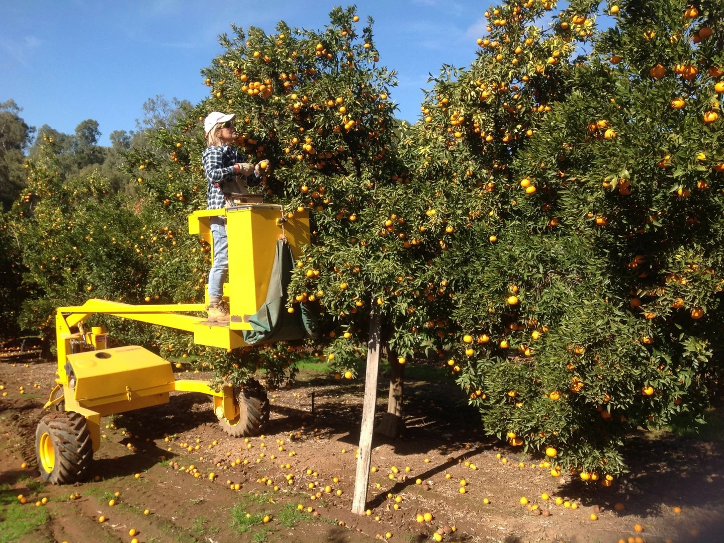 Additional image 20 of 18 Clifton Street East, Mathoura NSW 2710