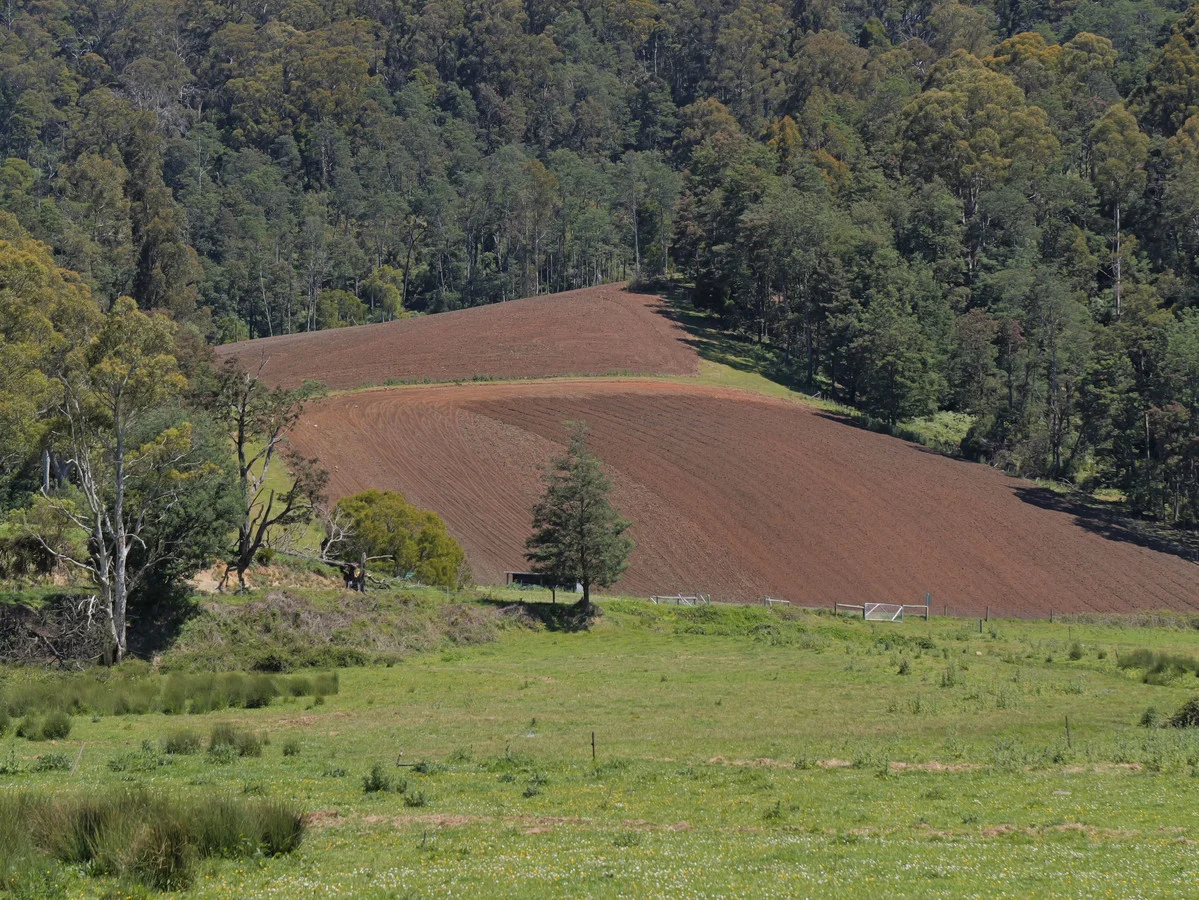 Additional image 21 of 569 St Columba Falls Road, Pyengana TAS 7216