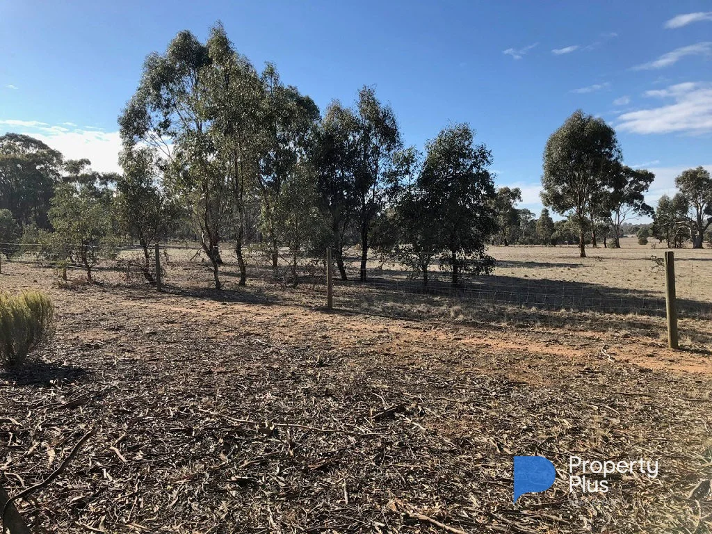 Additional image 16 of 1 Bendigo-Maryborough Road, Shelbourne VIC 3515