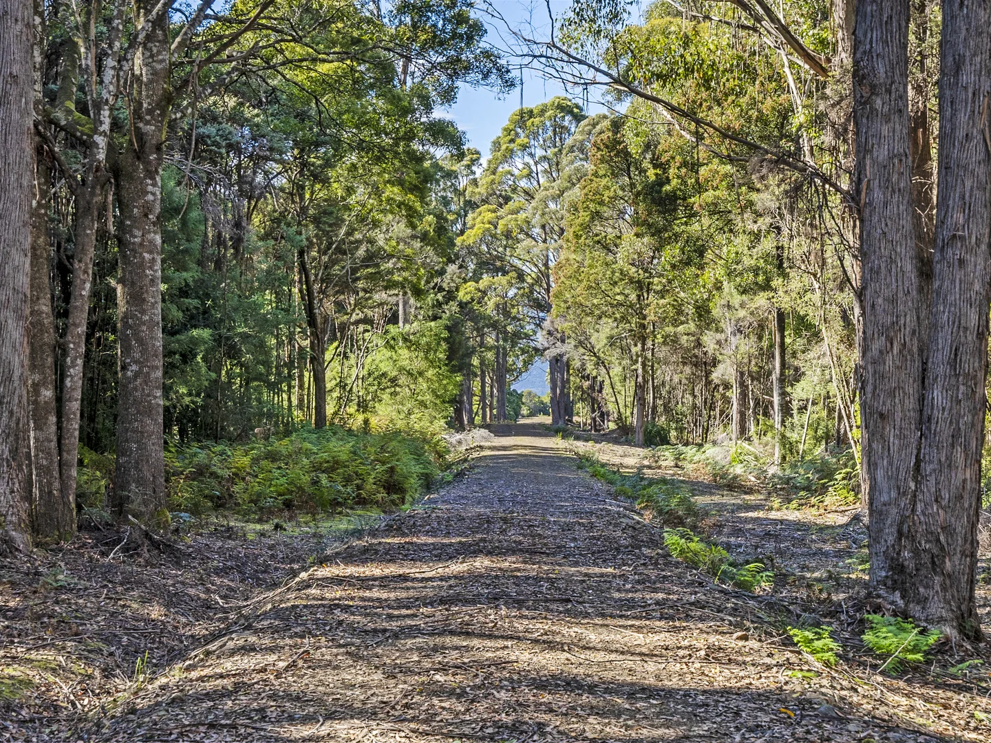 Additional image 33 of 312 Lookout Road, Port Arthur TAS 7182