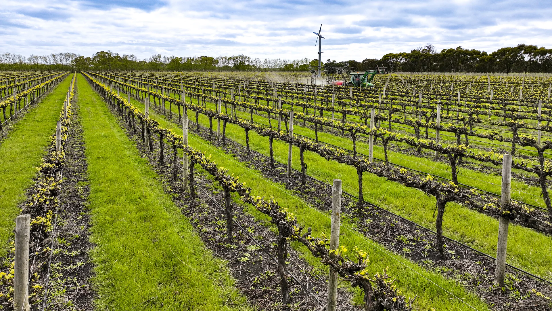 Additional image 8 of LOT 102, Bond Road, Penola SA 5277