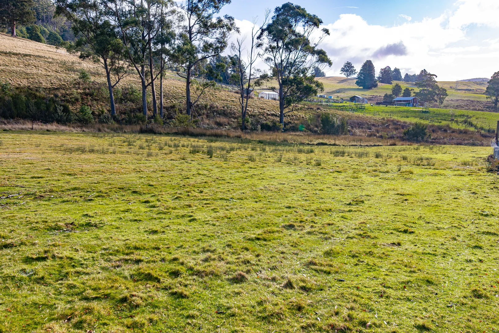 Additional image 17 of 112 Rileys Creek Road, Geeveston TAS 7116