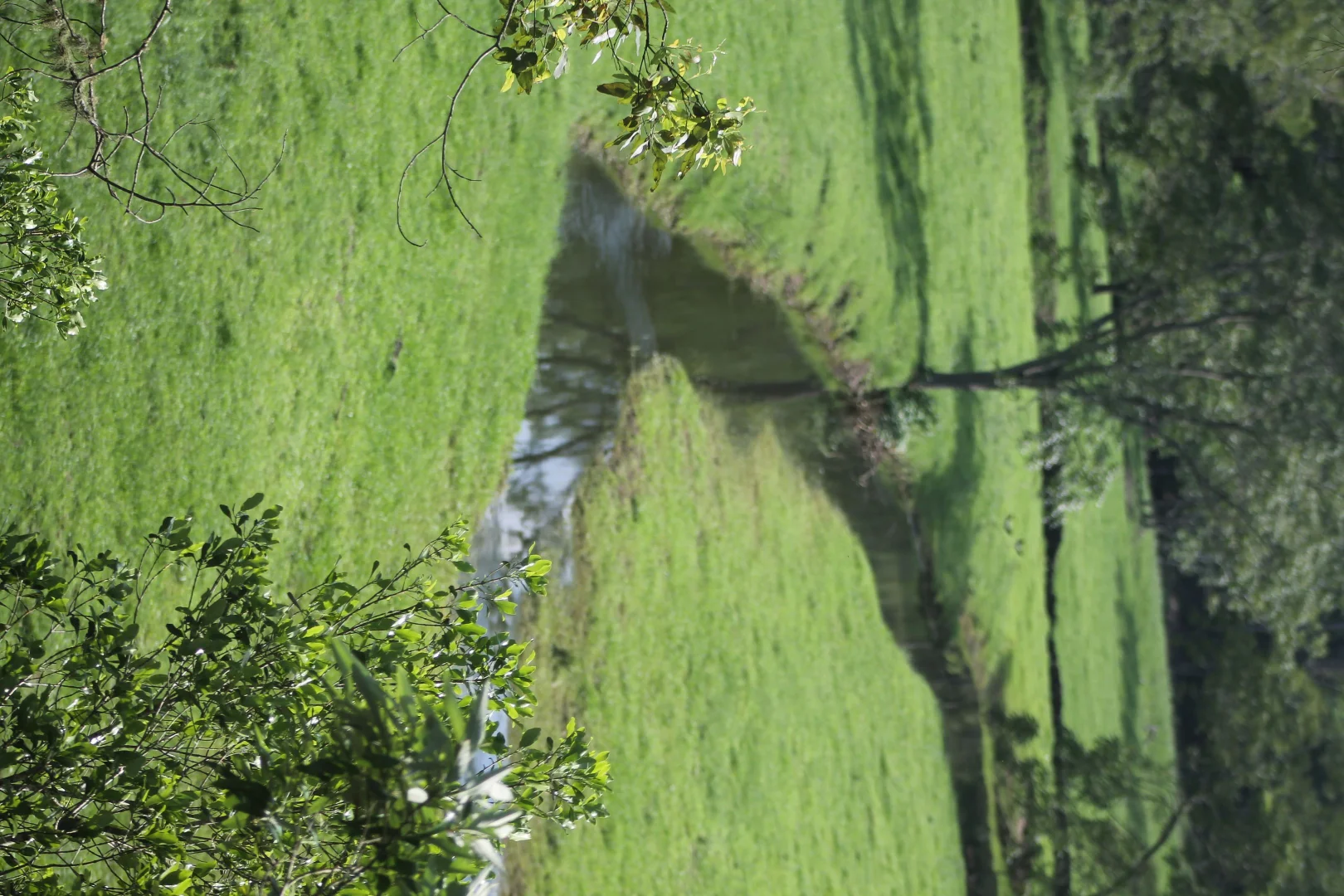 Additional image 21 of 71 SUNDOWNER ROAD, Bakers Creek NSW 2447