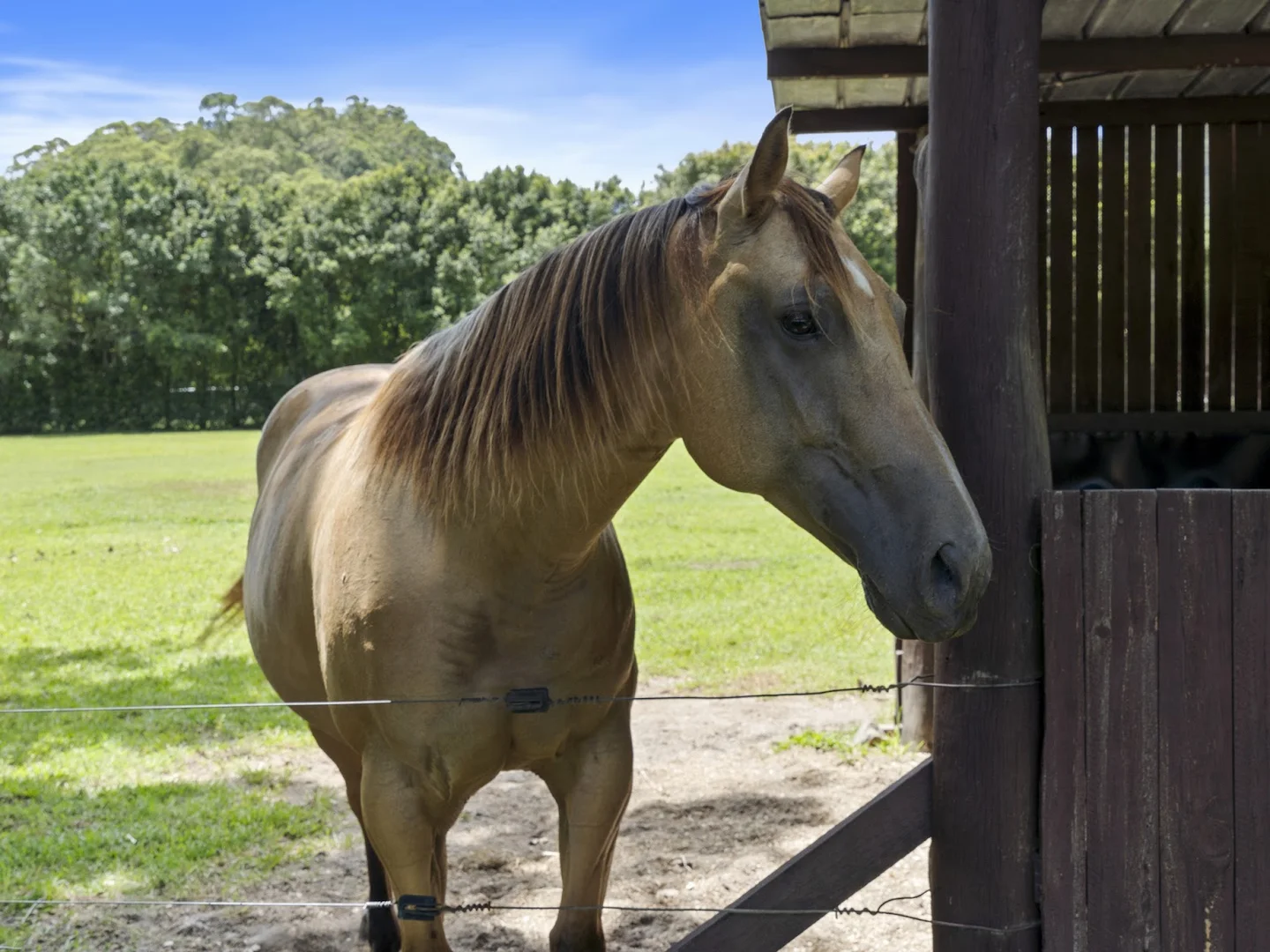 Additional image 2 of 14 Adcocks Road, Stokers Siding NSW 2484
