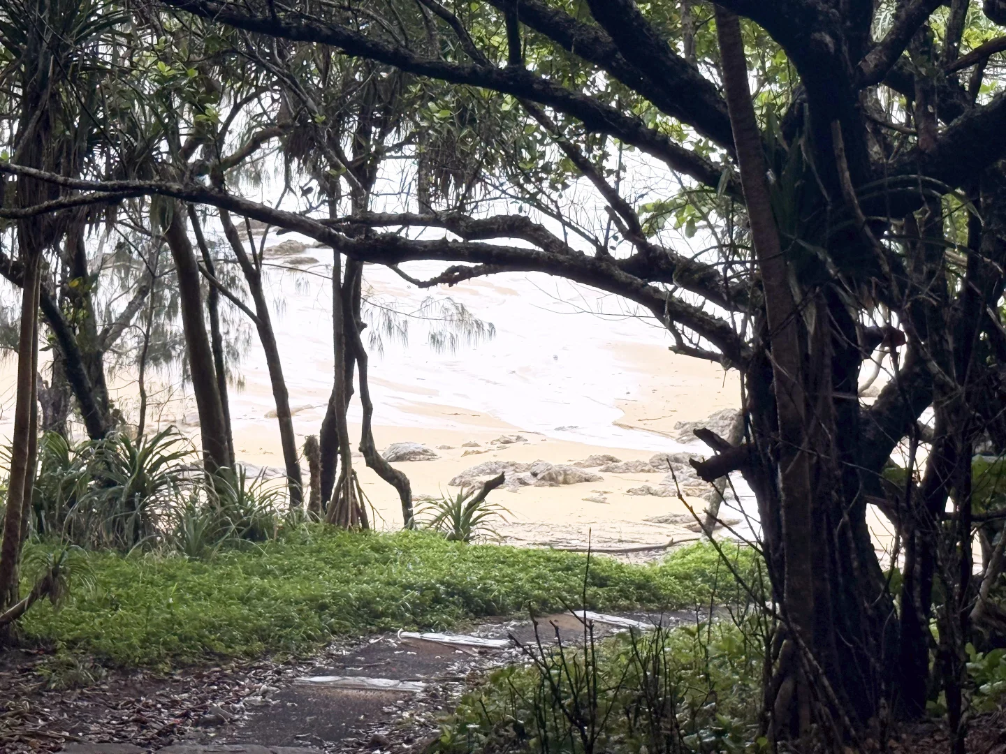 Additional image 8 of Lot 1 Holt Road, Garners Beach QLD 4852