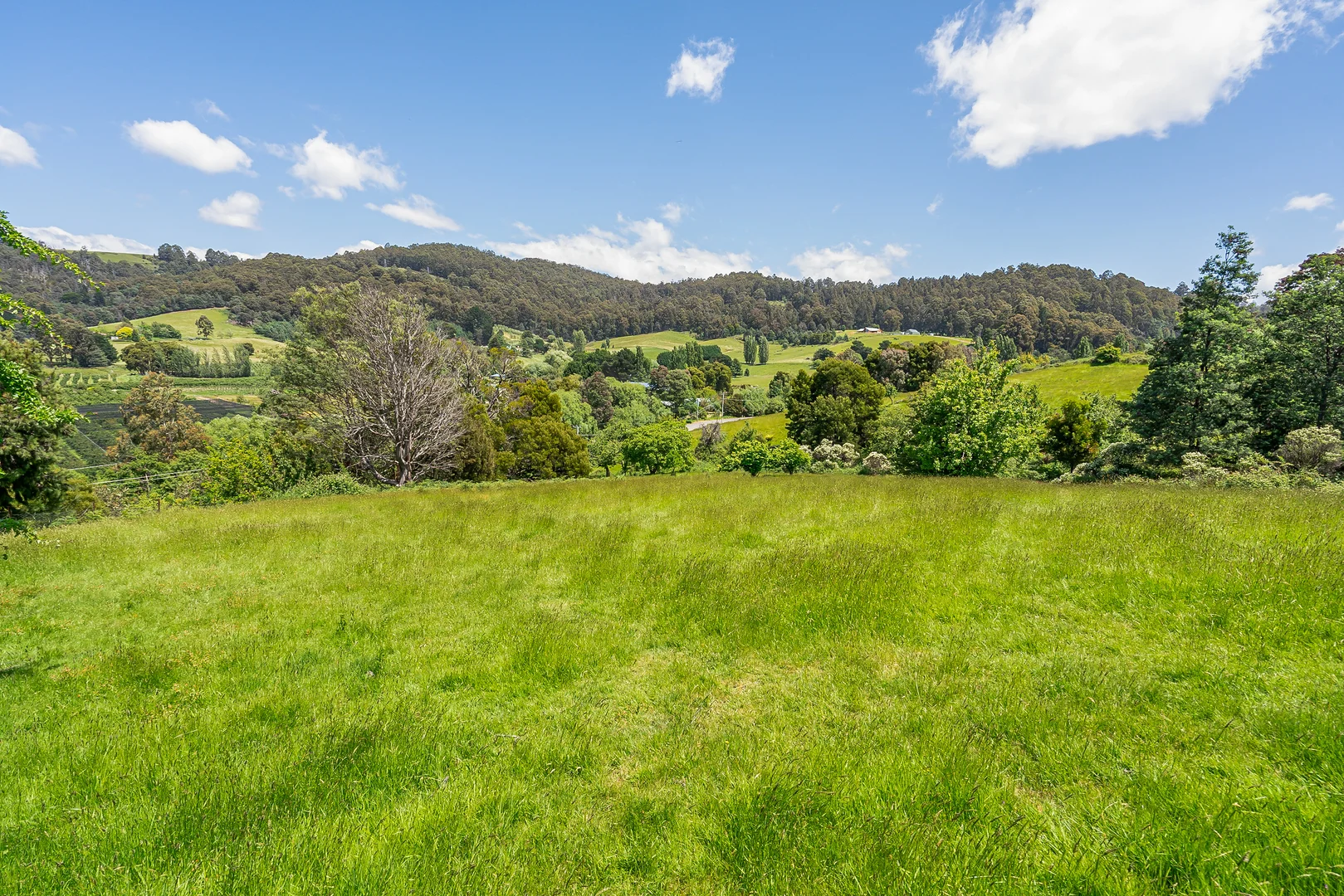 Additional image 22 of 106 Castle Forbes Road, Castle Forbes Bay TAS 7116