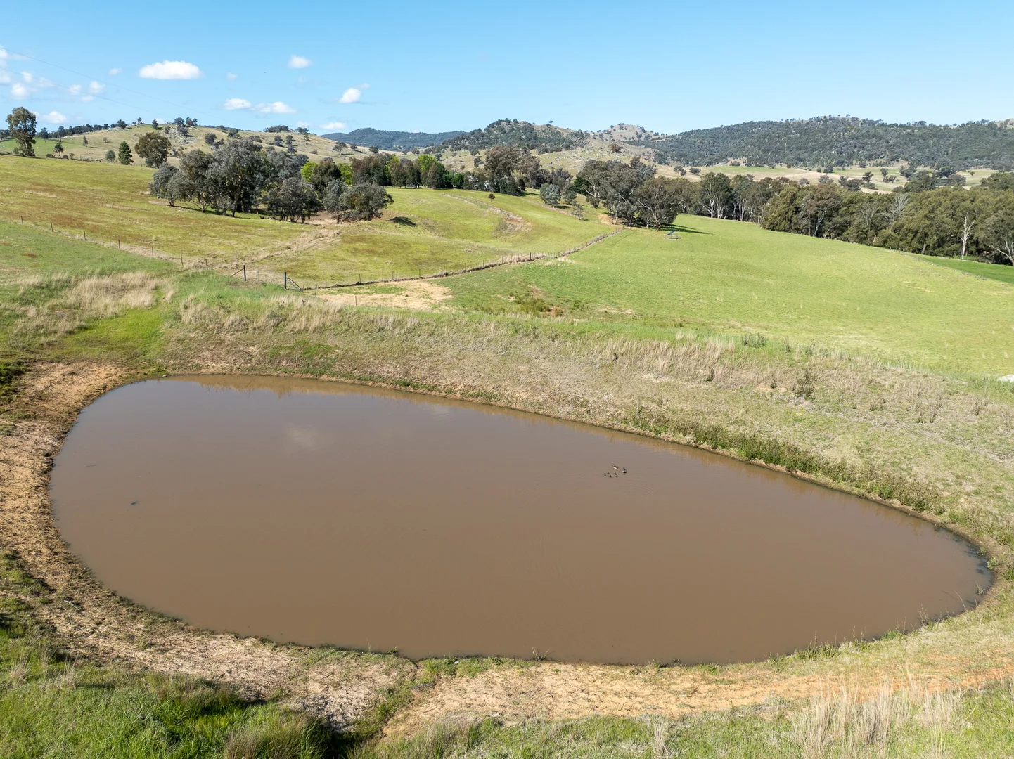 Additional image 17 of 'Angle Burn' 101 Clearview Road, Darbys Falls NSW 2793