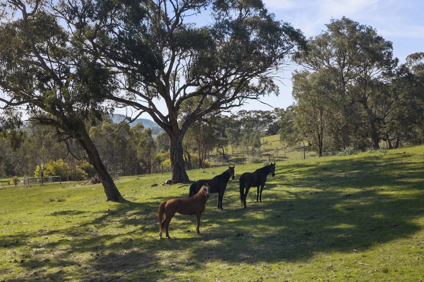 Additional image 11 of 31 Johanna Rise, Howes Creek VIC 3723